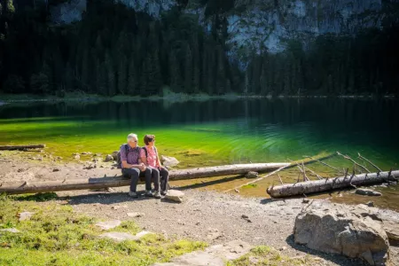 schnitzlerweg axalp brienz suisse 2.webp