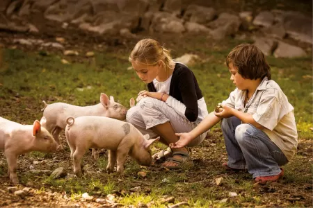 animaux de ferme au ballenberg musée suisse en plein air.webp