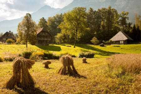 haymaking at ballenberg swiss open air museum brienz.webp