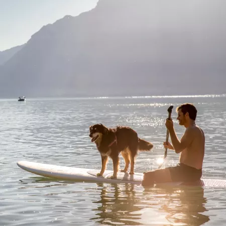 stand up paddling on lake brienz near camping aaregg.webp
