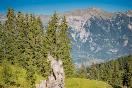 schnitzlerweg axalp brienz suisse 3.webp